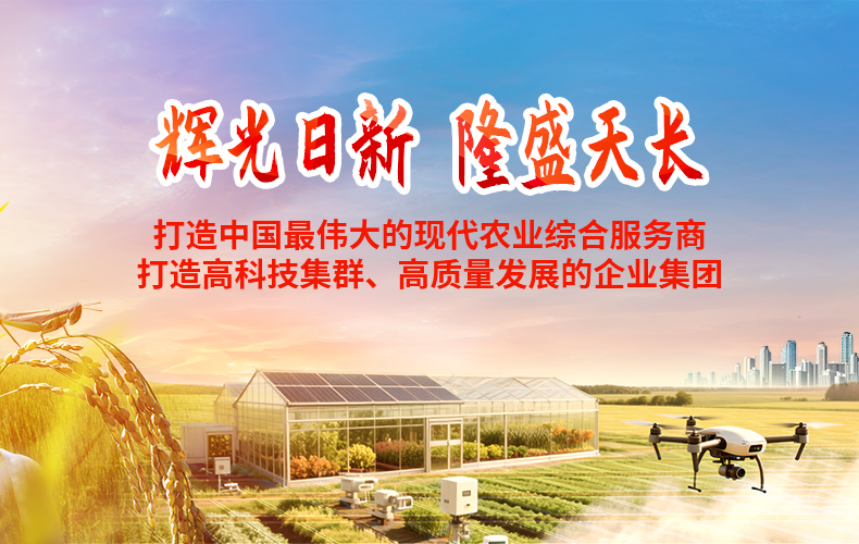 双打造