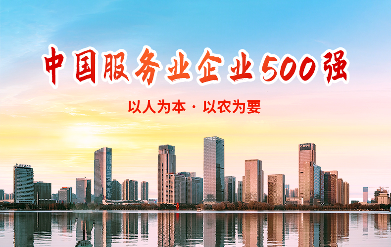 500强