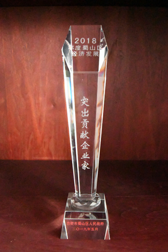 2018年度蜀山区经济发展突出贡献企业家_副本.jpg