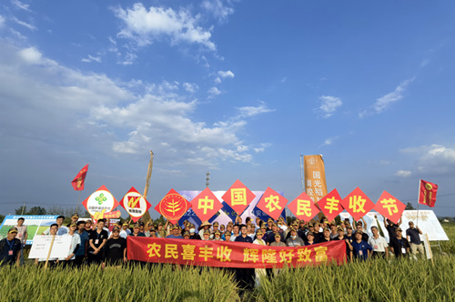 辉隆含山农服中心举办中国农民丰收节活动-水稻观摩会_副本_副本.jpg