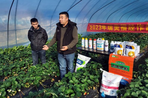 ”科技特派员“提供备耕技术支持_副本_副本.jpg