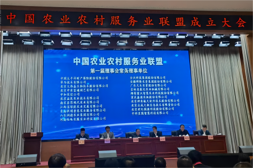 图片_副本_副本.png